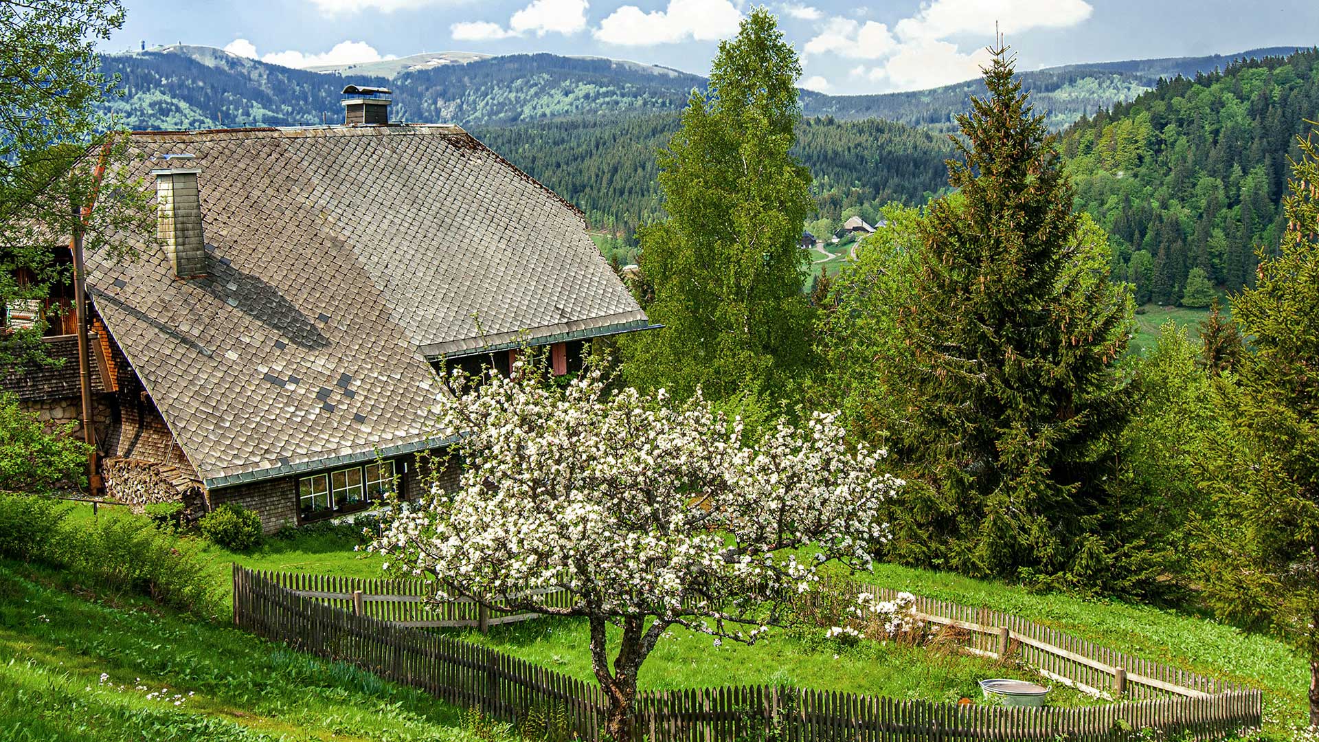 Bauernhaus im Schwarzwald