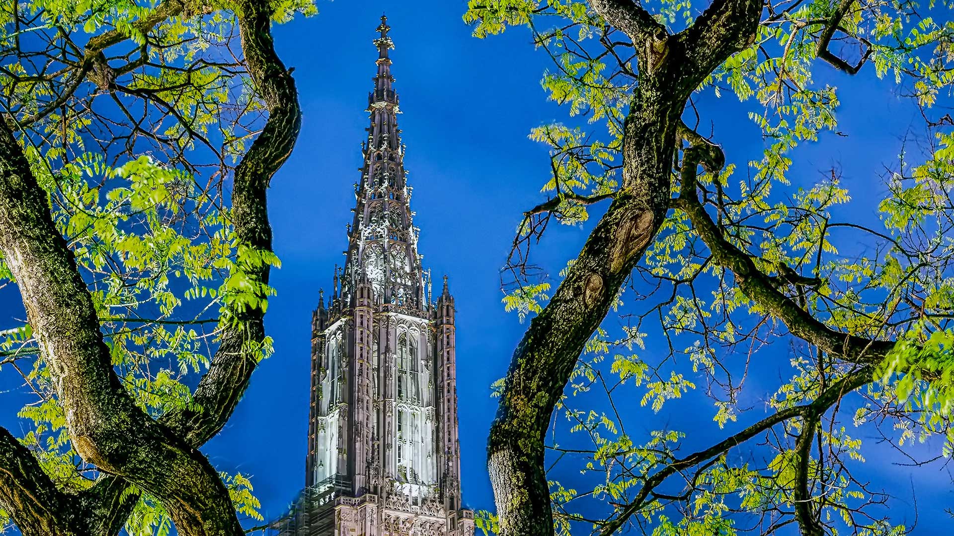 Ulmer Münster Turm I
